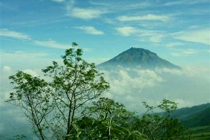 Violet, 30 — Escort in Gunung, Indonesia