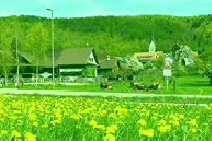Violet, 30 — Escort in Hausen am Albis / Hausen (Dorf), Switzerland
