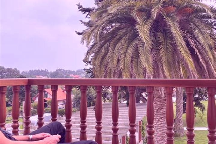 Violet, 30 — Escort in O Rosal, Spain