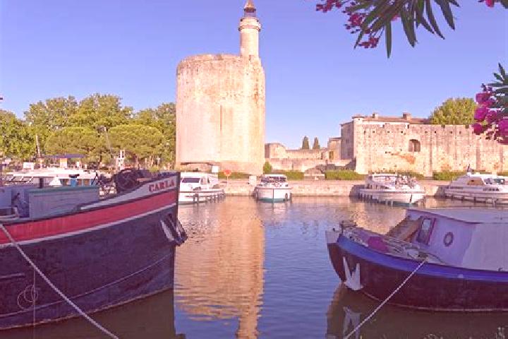 Violet, 31 — Escort in Aigues-Vives, France