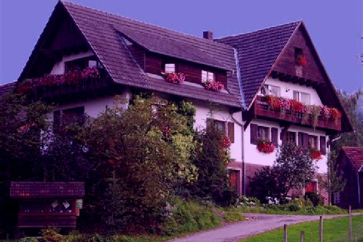 Violet, 31 — Escort in Berghaupten, Germany