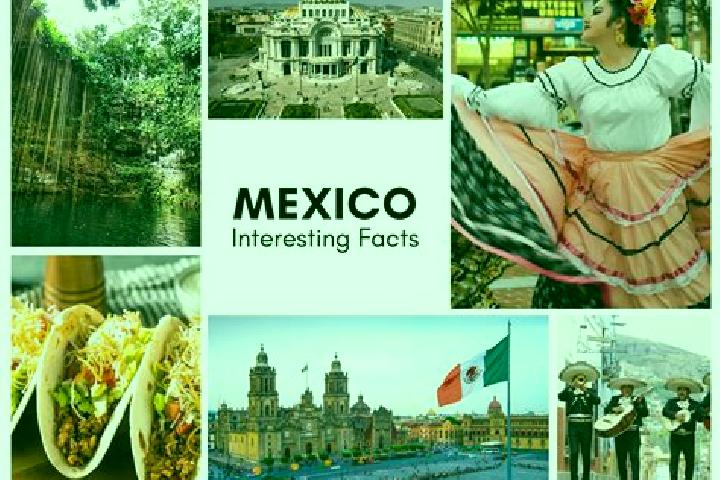 Violet, 31 — Escort in Chochoh, Mexico