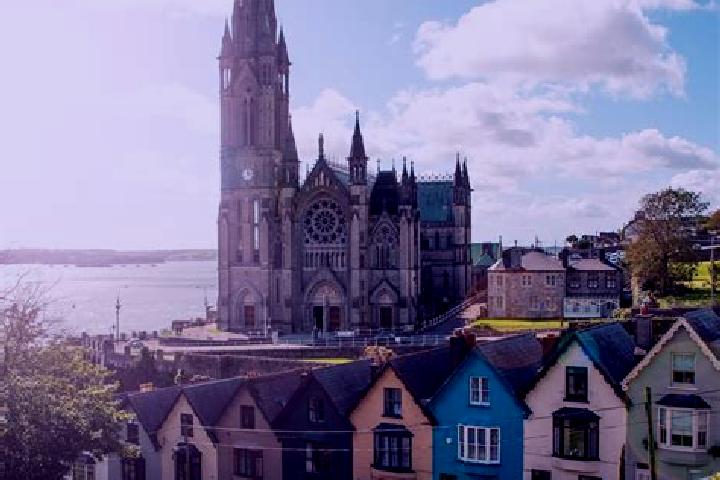 Violet, 31 — Escort in Cork, Ireland