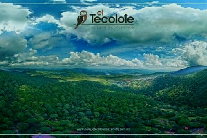 Violet, 31 — Escort in El Tecolote, Mexico