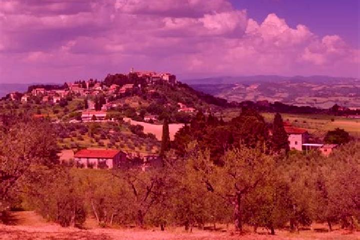 Violet, 31 — Escort in Monte Castello di Vibio, Italy