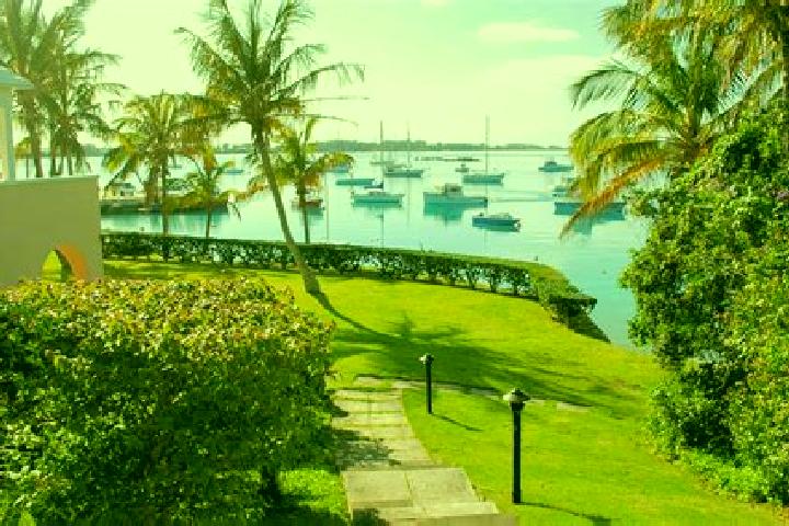 Violet, 31 — Escort in Paget Parish, Bermuda