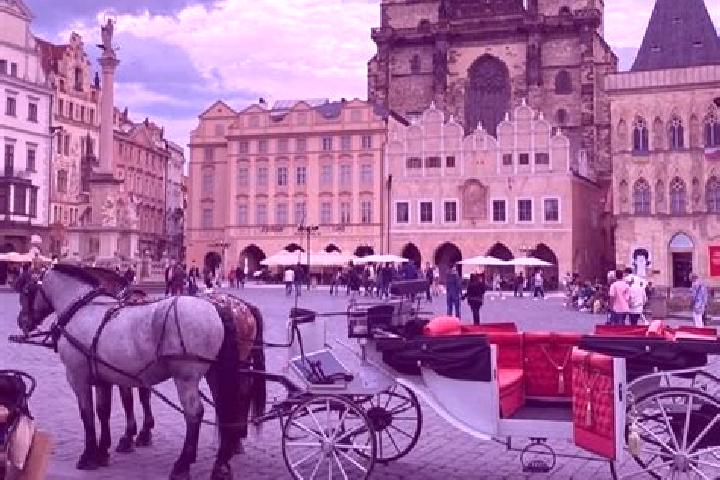 Violet, 31 — Escort in Puklice, Czech Republic