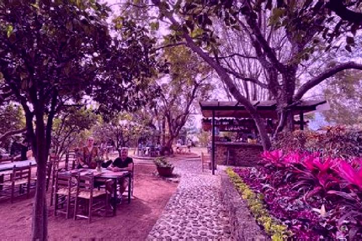 Violet, 31 — Escort in Rancho Seco de Guantes, Mexico