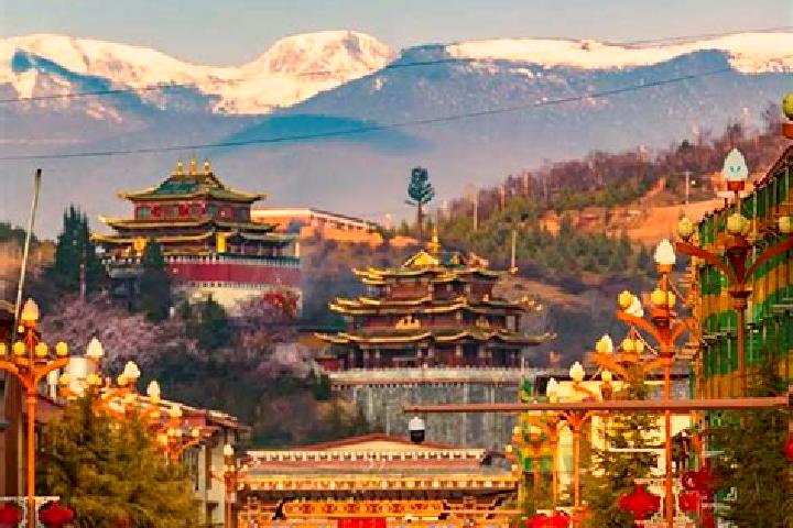 Violet, 31 — Escort in Shangri-La, China