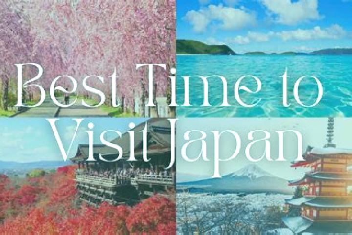 Violet, 31 — Escort in Shimotoda, Japan
