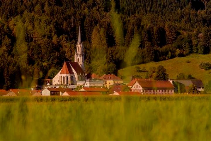 Violet, 31 — Escort in Weisskirchen in Steiermark, Austria