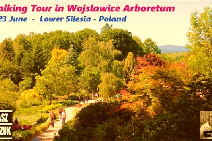 Violet, 31 — Escort in Wojslawice, Poland