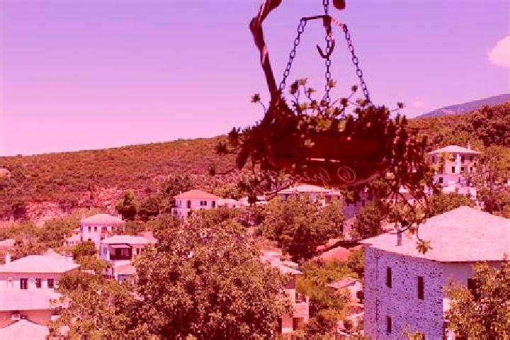 Violet, 31 — Escort in Zagora, Greece