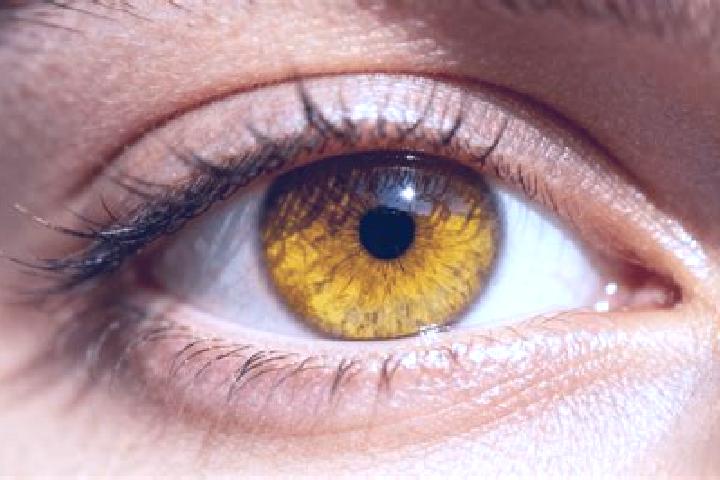 Violet, 32, a auburn amber-eyed european companion based in Boyolangu. Offering Fetish, BDSM, Girlfriend Experience, 69, Striptease. Available for incall and...