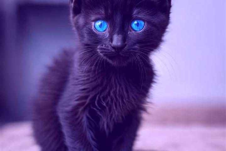 Violet, 32, a black blue-eyed mediterranean companion based in Karahacili. Offering CIM, Erotic Massage, Roleplay, Fetish. Available for incall and outcall, ...