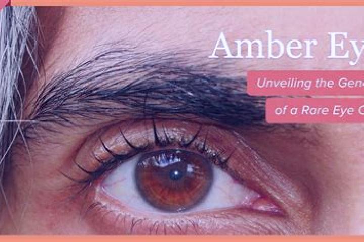 Violet, 32, a red amber-eyed indian companion based in OEdemis. Offering Prostate Massage, Dinner Date. Available for incall and outcall, overnight bookings ...