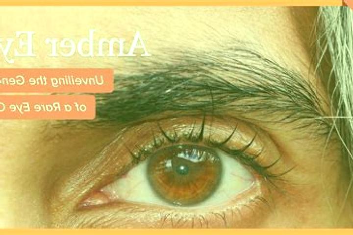 Violet, 32, a red amber-eyed mediterranean companion based in Gagore. Offering Striptease, 69, Deep French Kissing. Available for incall and outcall, overnig...