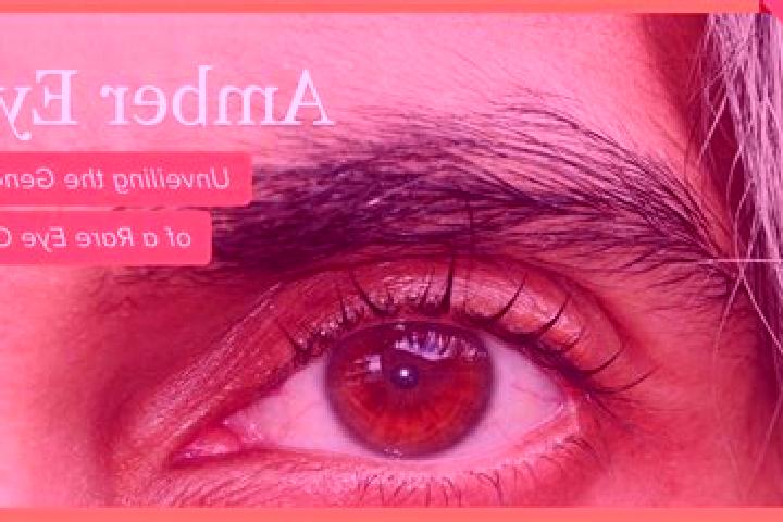 Violet, 32, a red amber-eyed mixed companion based in Hope Valley. Offering Striptease, CIM, Deep French Kissing, Girlfriend Experience, Duos. Available for ...