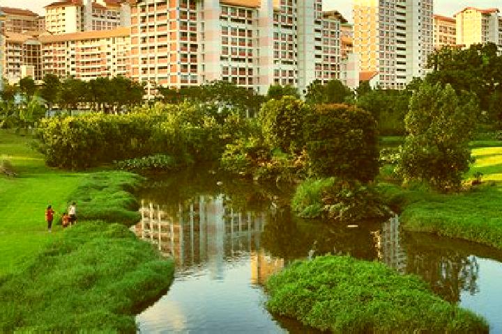 Violet, 32 — Escort in Ang Mo Kio New Town, Singapore