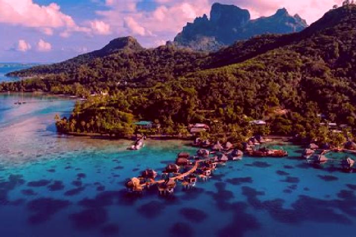 Violet, 32 — Escort in Avera, French Polynesia