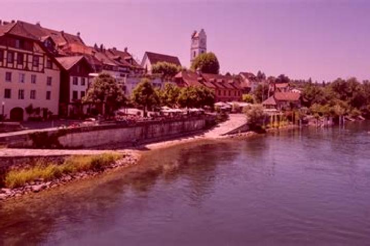 Violet, 32 — Escort in Buren an der Aare, Switzerland