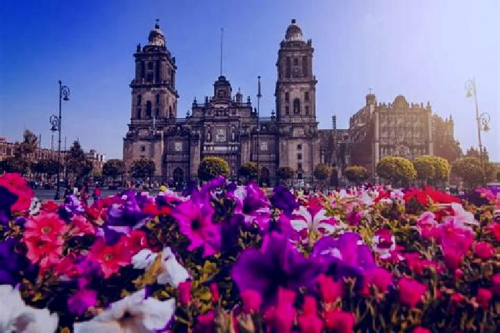 Violet, 32 — Escort in Ciudad Cuauhtemoc, Mexico