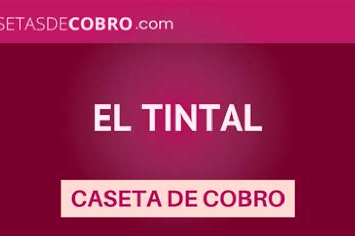 Violet, 32 — Escort in El Tintal, Mexico