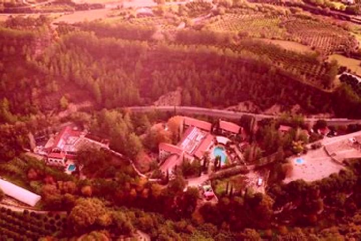 Violet, 32 — Escort in Fores, Spain