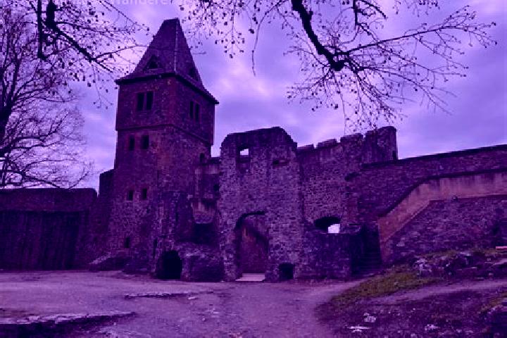 Violet, 32 — Escort in Frankenstein, Germany