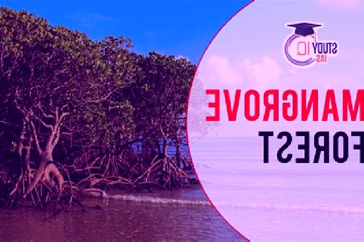 Violet, 32 — Escort in Mangrove Bay, China