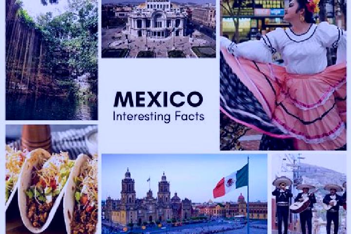 Violet, 33 — Escort in Cahuageo, Mexico