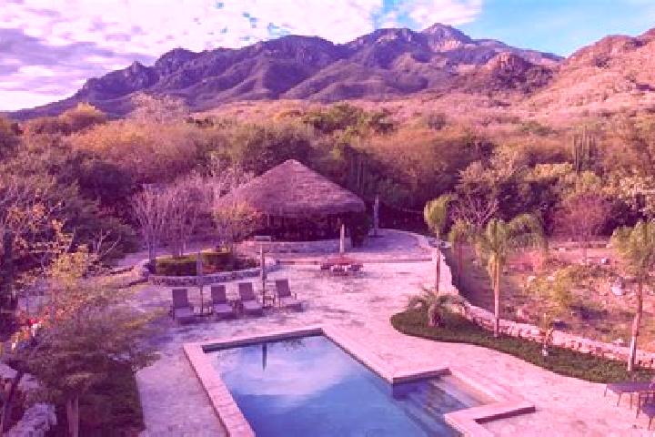 Violet, 33 — Escort in El Pedregal de Guadalupe Hidalgo, Mexico