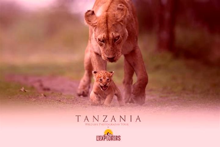 Violet, 33 — Escort in Hedaru, Tanzania