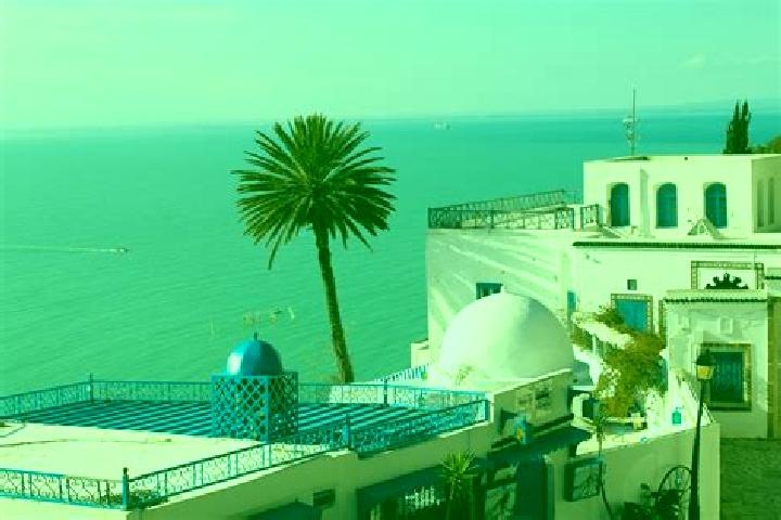 Violet, 33 — Escort in Jedeida, Tunisia