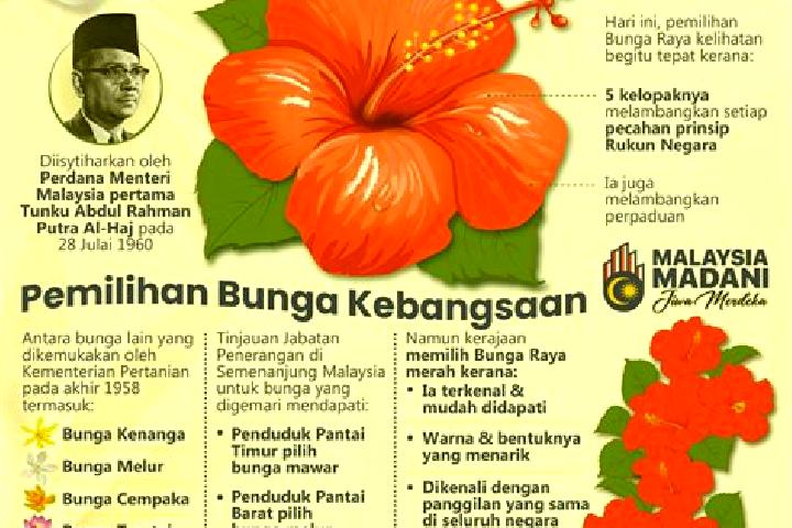 Violet, 33 — Escort in Kampung Bukit Bunga, Malaysia