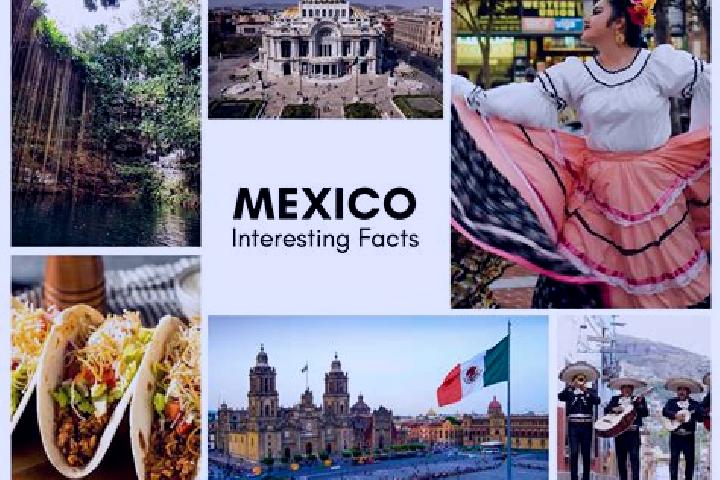 Violet, 33 — Escort in La Tijera, Mexico