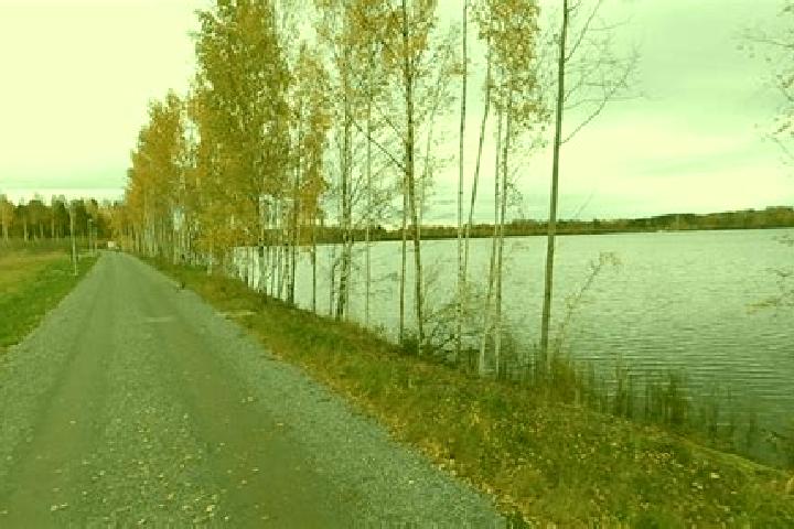 Violet, 33 — Escort in Lentaevaenniemi, Finland