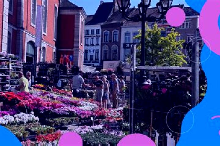 Violet, 33 — Escort in Mechelen, Netherlands
