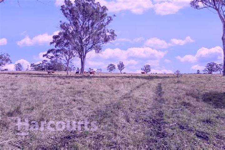 Violet, 33 — Escort in Pheasants Nest, Australia