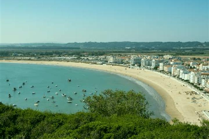 Violet, 33 — Escort in Sao Martinho, Portugal