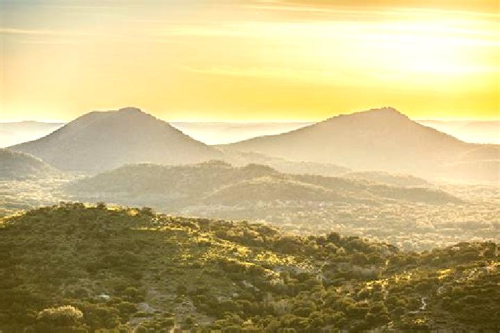 Violet, 33 — Escort in The Hill, Australia