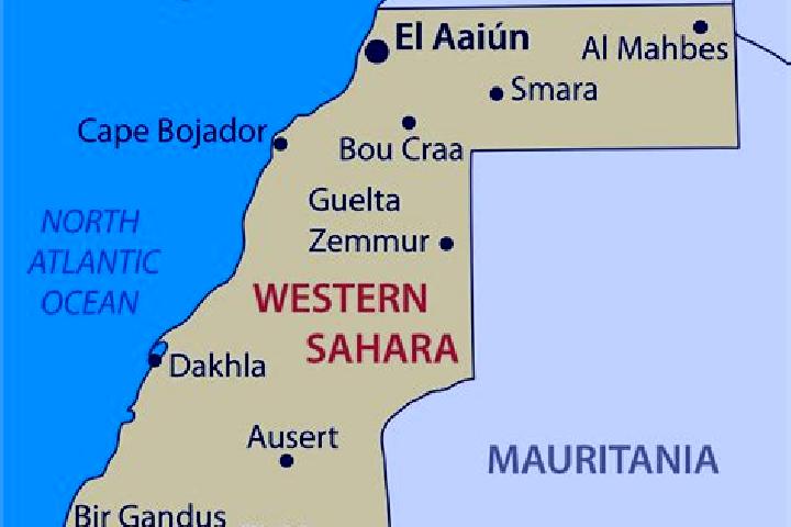 Violet, 33 — Escort in Tifariti, Western Sahara