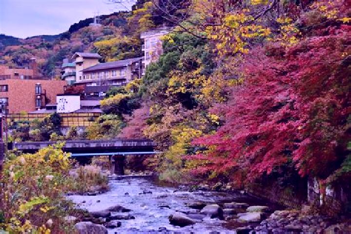 Violet, 33 — Escort in Yugawara, Japan