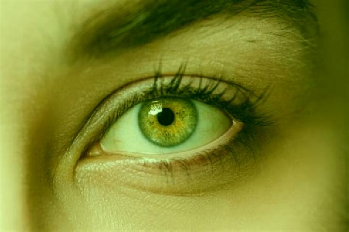 Violet, 34, a auburn hazel-eyed mixed companion based in Lahrndorf. Offering Domination, A-Level, Dinner Date, Massage. Available for incall and outcall, ove...