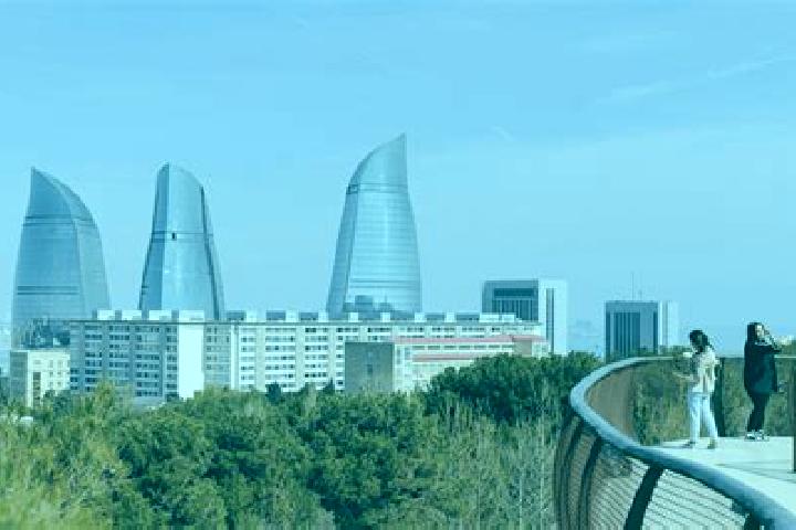 Violet, 34 — Escort in Bilajari, Azerbaijan