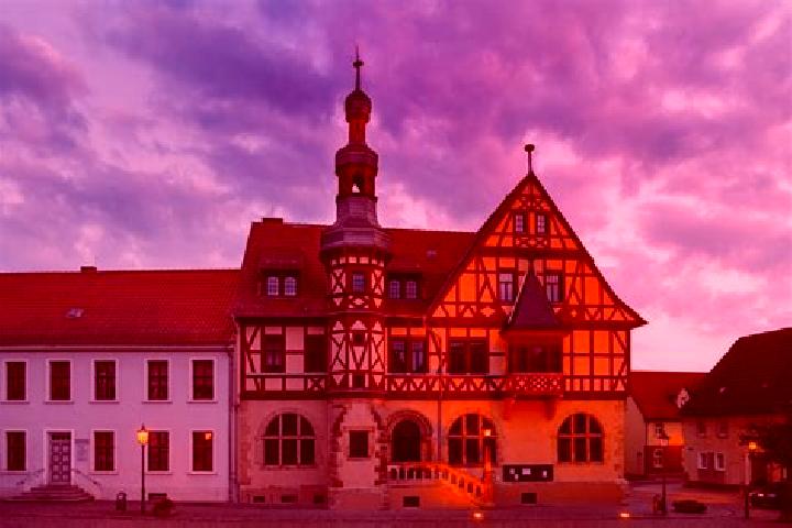Violet, 34 — Escort in Harzgerode, Germany