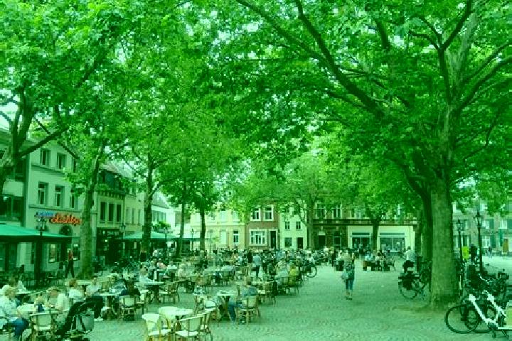 Violet, 34 — Escort in Kempen, Germany