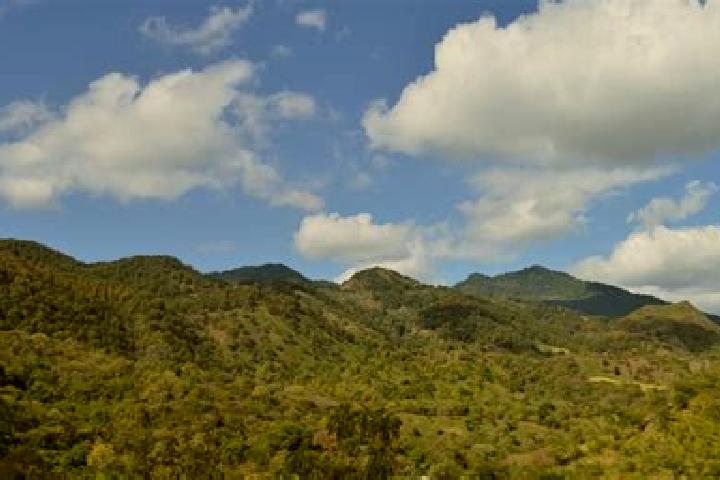 Violet, 34 — Escort in Las Sabanas, Nicaragua