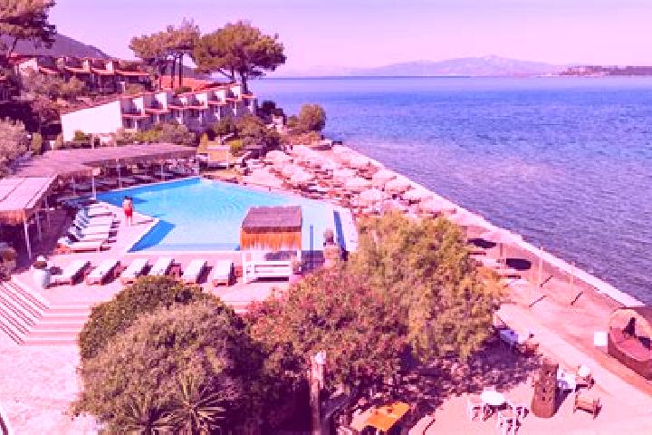 Violet, 34 — Escort in Nea Stira, Greece