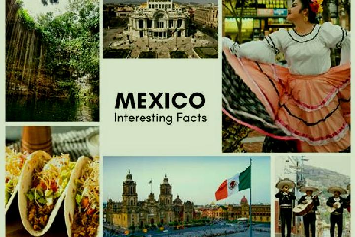 Violet, 34 — Escort in Santiago Tlatepusco, Mexico